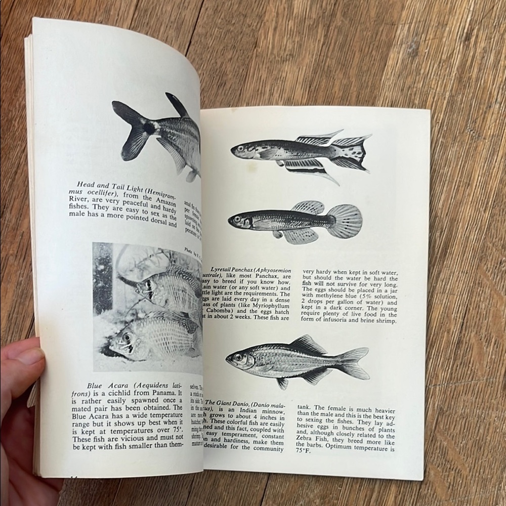 Tropical Fish Guide by Herbert R. Axelrod - Picture 11 of 11